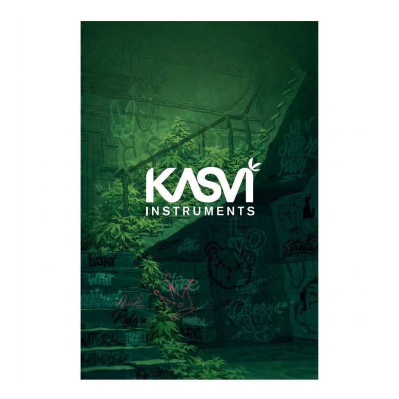 FLYER BOQUILLA STREET GREEN X5 U KASVI-MERCHANDISE (DS)