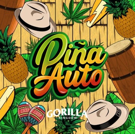 GORILLA PIÑA AUTO X100-BSF