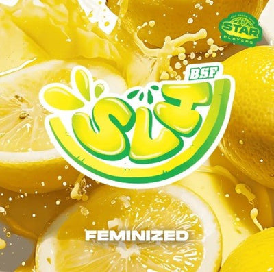 SUPER LEMON HAZE FEM X100-BSF (DS)
