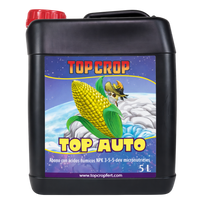 TOP AUTO 5LT-TOP CROP (DS)