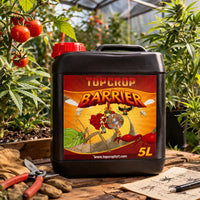 TOP BARRIER 5LT-TOP CROP (DS)
