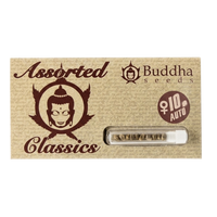 ASSORTED CLASSICS AUTO X10-BUDDHA SEEDS (DS)