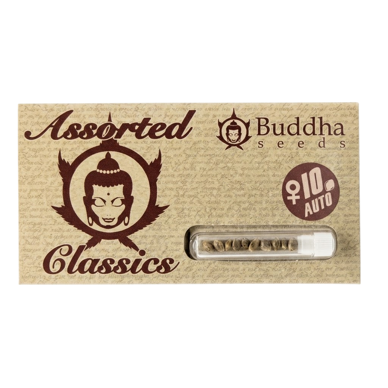 ASSORTED CLASSICS AUTO X10-BUDDHA SEEDS (DS)