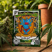 GORILLA GIRL F1 FAST VERSION X25-SWEET SEEDS (DS)