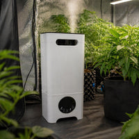 HUMIDIFICADOR ULTRASONICO 13LT (DS)