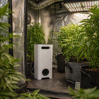 HUMIDIFICADOR ULTRASONICO 13LT (DS)