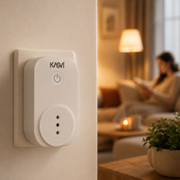 TIMER WIFI-KASVI (DS)