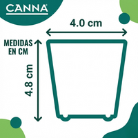 BOX 10 BANDEJAS 77U ROOT PLUG COCO/TURBA - CANNA (DS)