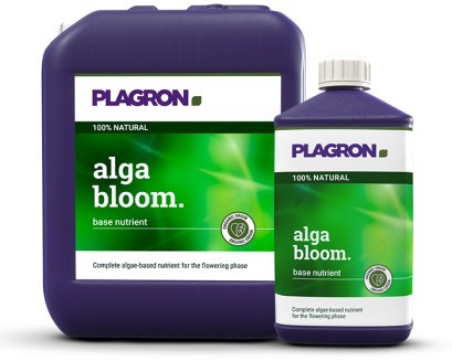 ALGA BLOOM 100ML- PLAGRON