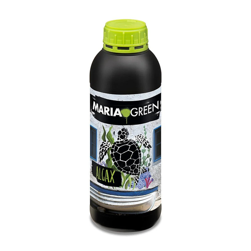 ALGAX 1LT- MARIA GREEN