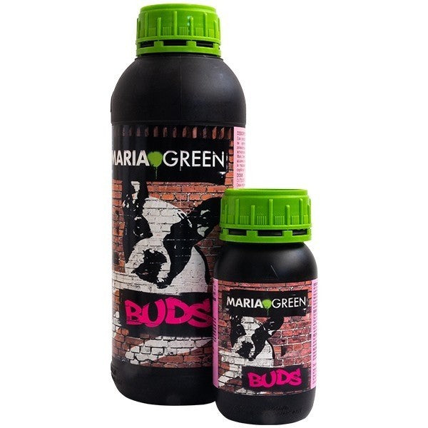 BUDS 5LT- MARIA GREEN