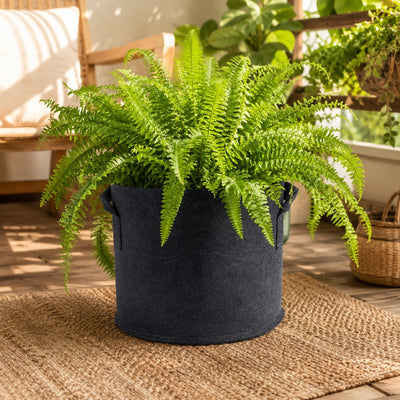 MACETA TEXTIL BLACK 19L - KASVI (DS)