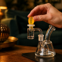CARB CAP FRUIT COLLECTION TANGERINE- BONGLAB (DS)