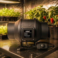 EXTRACTOR TT BLACK PRO 150MM 2 VELOCIDADES 900-1122 M3/H - KASVI (DS)