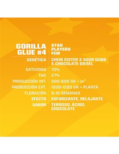 GORILLA GLUE N4 FEM X4-BSF (DS)