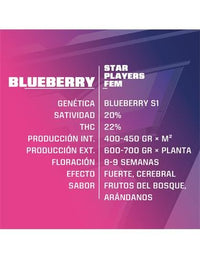 BLUEBERRY FEM X12-BSF (DS)