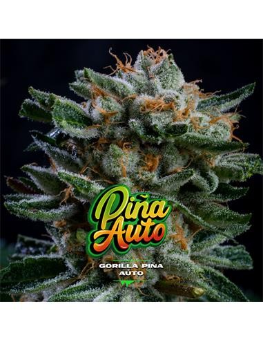 GORILLA PIÑA AUTO X7-BSF (DS)