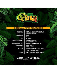 GORILLA PIÑA FEM X7-BSF (DS)