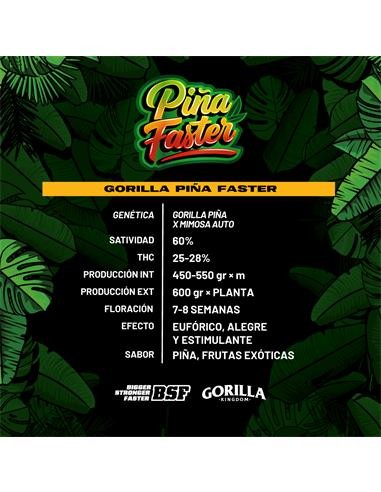 GORILLA PIÑA FAST VERSION X12-BSF (DS)