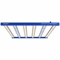 PAR DE BARRAS RECAMBIO SPECTRA VEGA BOOST 5000K+420/500NM-DELIGHT (DS)