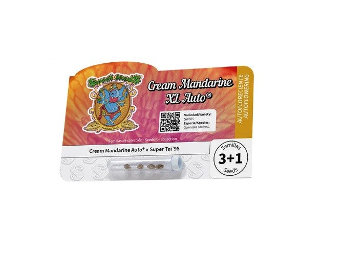 CREAM MANDARINE XL AUTO X3+1 2X1-SWEET SEEDS (DS)