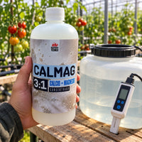CALMAG CONCENTRADO 3:1 1 LT - SUSTRATO TÉCNICO (DS)