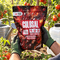 COLOSAL BUD 1KG - SUSTRATO TECNICO (DS)