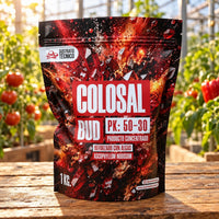 COLOSAL BUD 1KG - SUSTRATO TECNICO (DS)