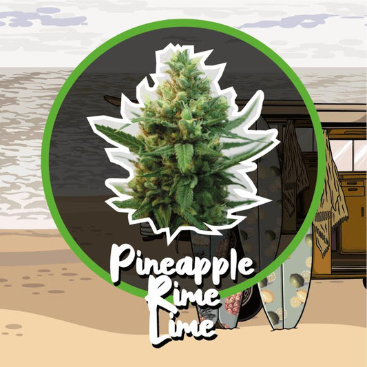 DELIRIUM SEEDS PINEAPPLE RIME LINE 1UD