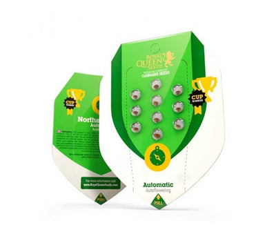 ROYAL QUEEN SEEDS DO SI DOS AUTO 3UDS