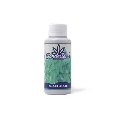 SUGAR ALGAE 120ML-WONDERLAND (DS)