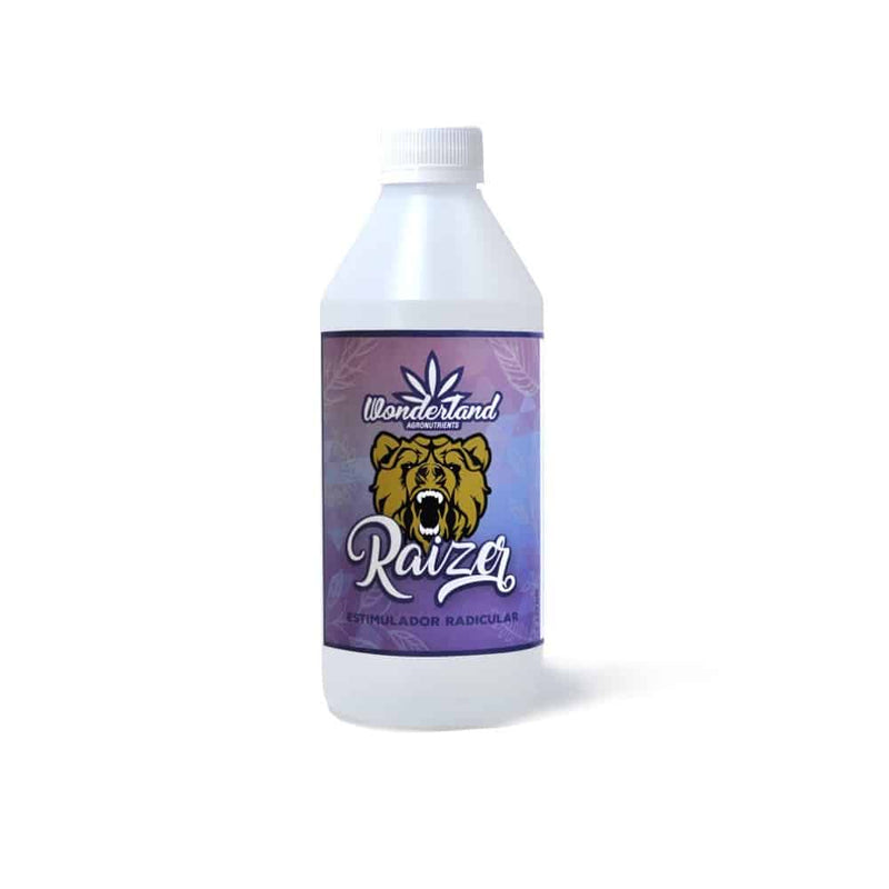 RAIZER 1LT-WONDERLAND (DS)