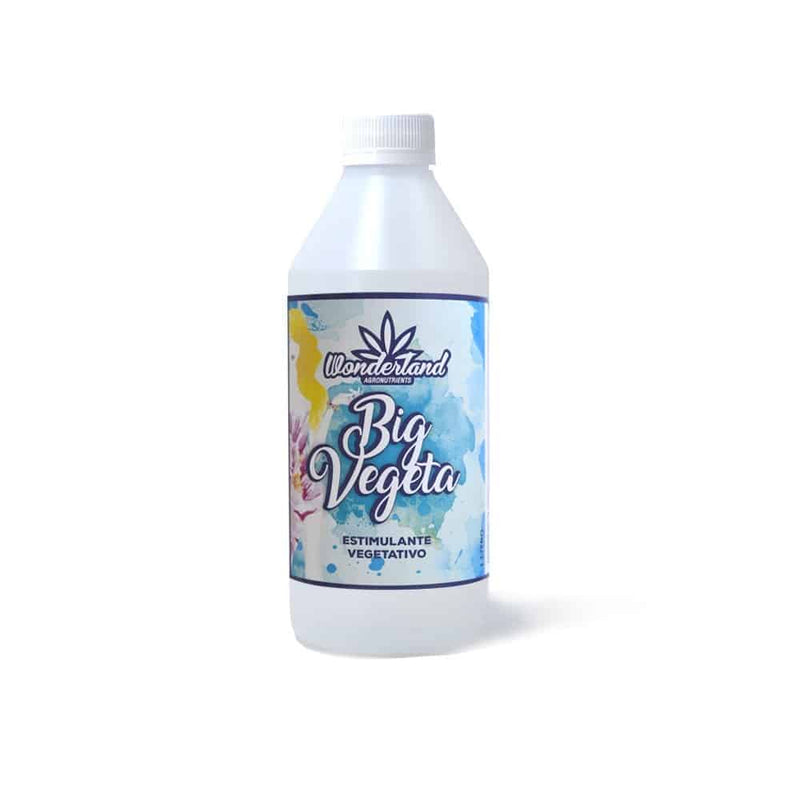 BIG VEGETA 1LT-WONDERLAND (DS)