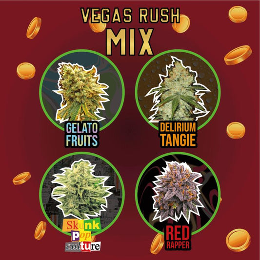 DELIRIUM SEEDS MIX VEGAS RUSH 4UDS