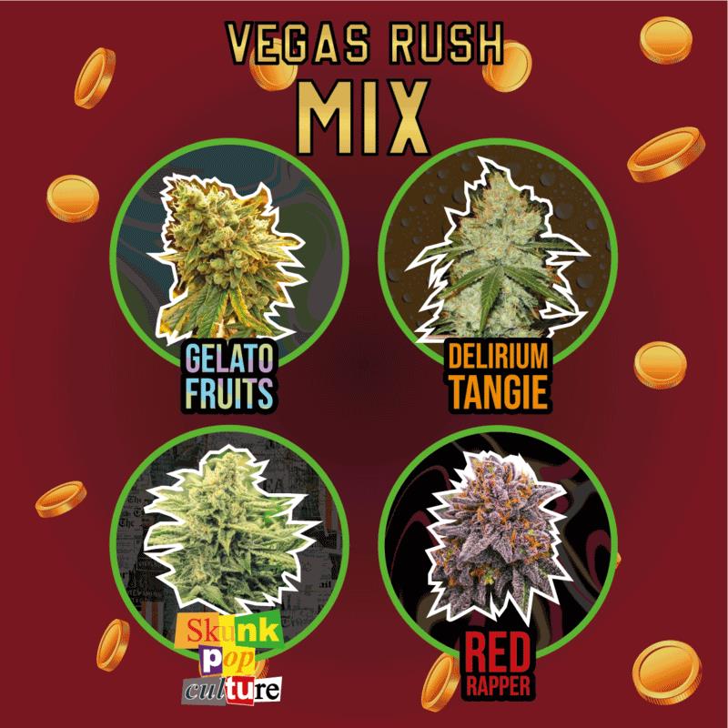 DELIRIUM SEEDS MIX VEGAS RUSH 4UDS