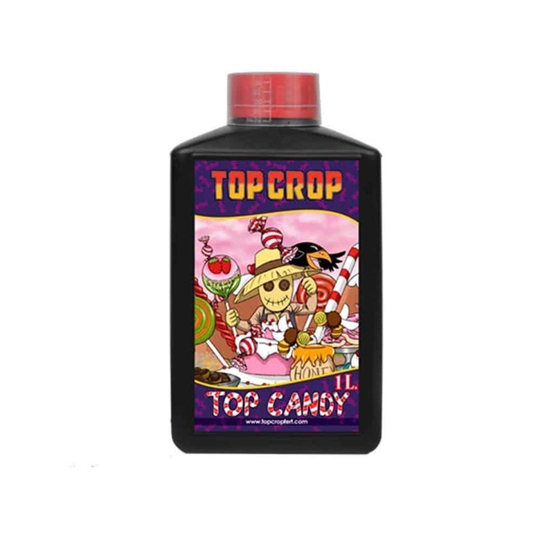 TOP CANDY 1LT-TOP CROP (DS)