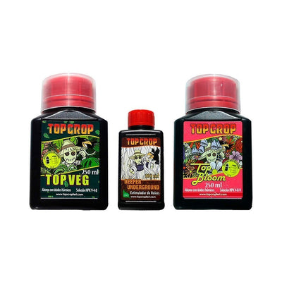 TRIPACK -TOP CROP (DS)