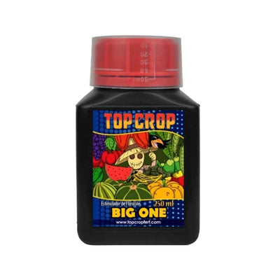 BIG ONE 250ML-TOP CROP (DS)