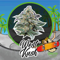DELIRIUM SEEDS WEST KUSH AUTO 4UDS