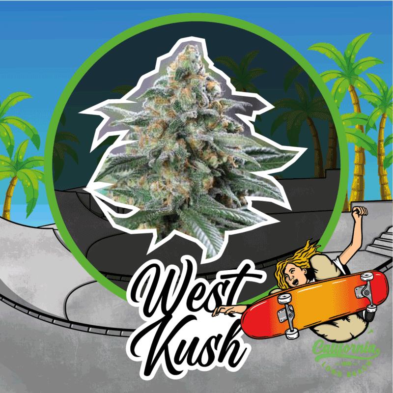 DELIRIUM SEEDS WEST KUSH AUTO 4UDS