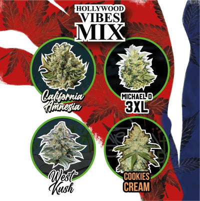DELIRIUM SEEDS MIX HOLLYWOOD VIBE AUTO 4UDS