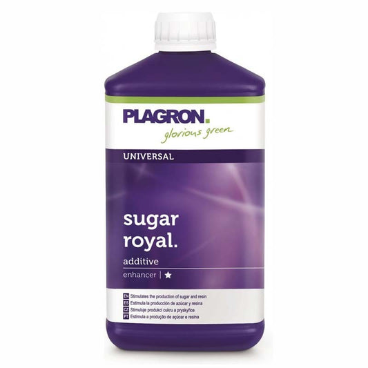 SUGAR ROYAL 250ML PLAGRON