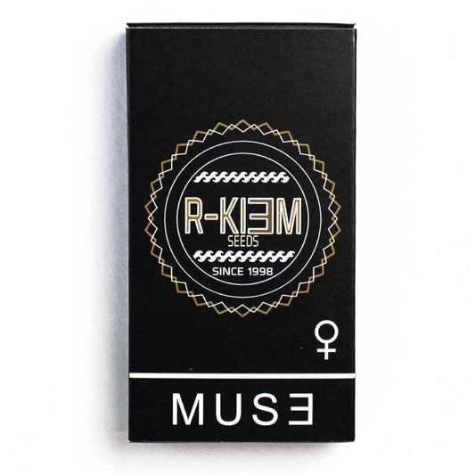 RKIEM SEEDS MUSE 3UDS