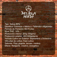 DELIRIUM SEEDS DELIRIUM AK 4UDS