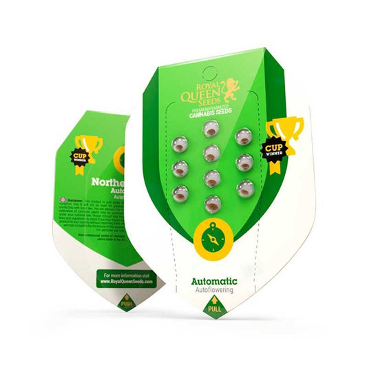 ROYAL QUEEN SEEDS BUBBLE KUSH AUTO 10UDS