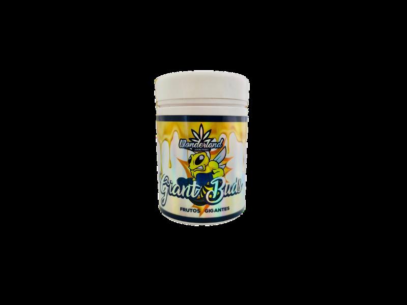 GIANT BUDS 52-34 120G WONDERLAND