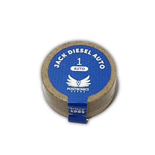 POSITRONICS JACK DIESEL AUTO 1UD