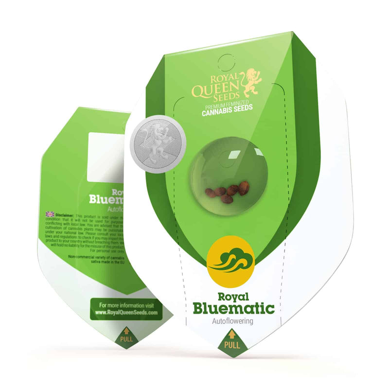 ROYAL BLUEMATIC AUTO X3-ROYAL QUEEN (DS)