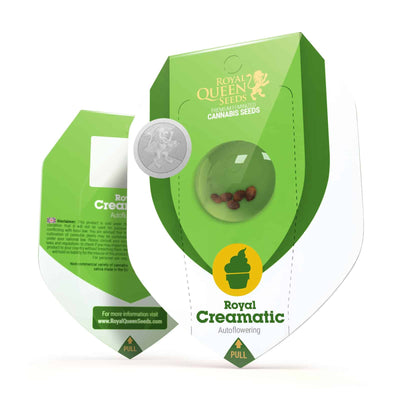 ROYAL CREAMATIC AUTO X3-ROYAL QUEEN (DS)
