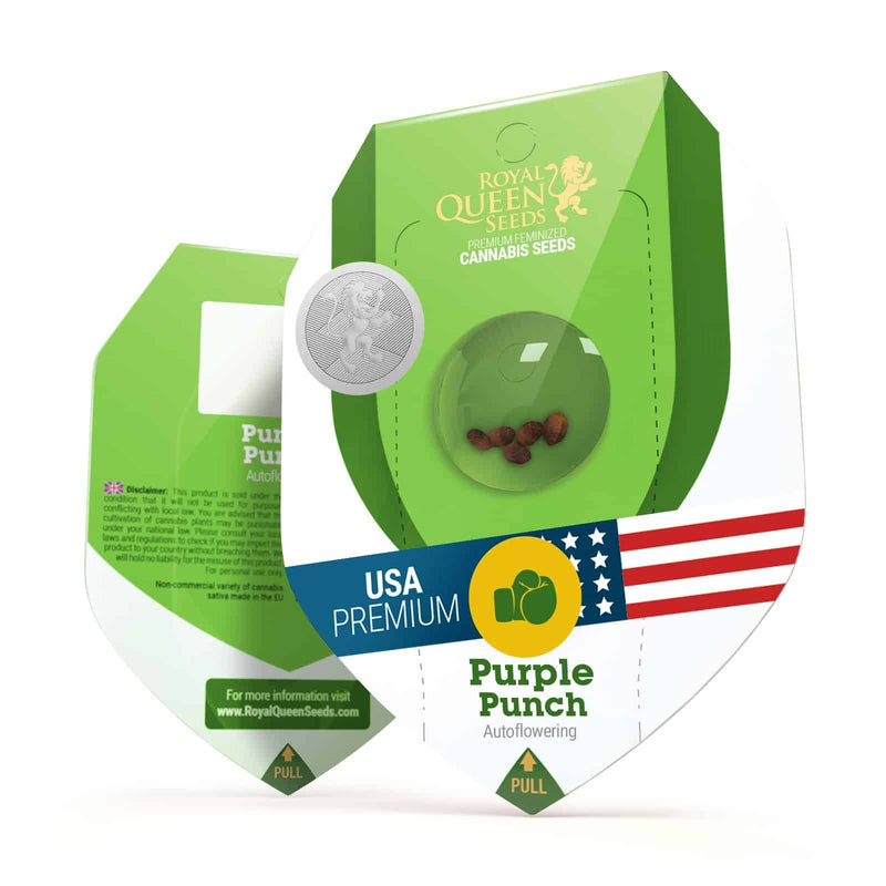 PURPLE PUNCH USA PREMIUM AUTO X3-ROYAL QUEEN (DS)